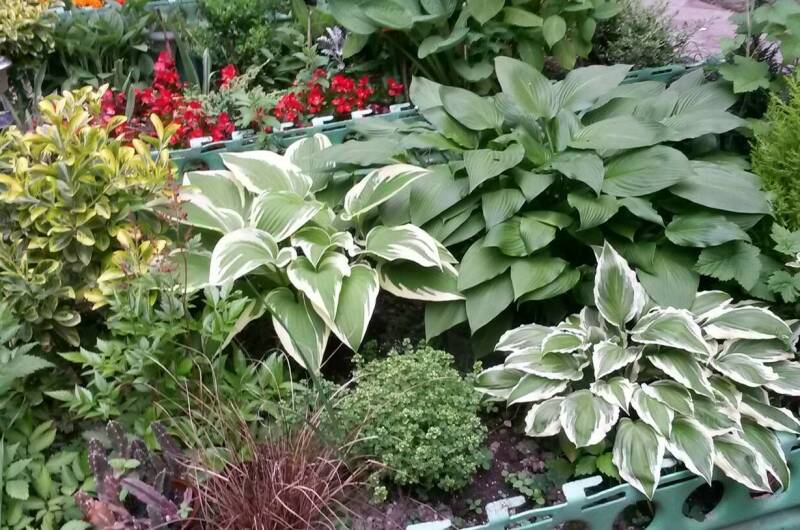 Гостевой дом «Визит на Кольцевой»