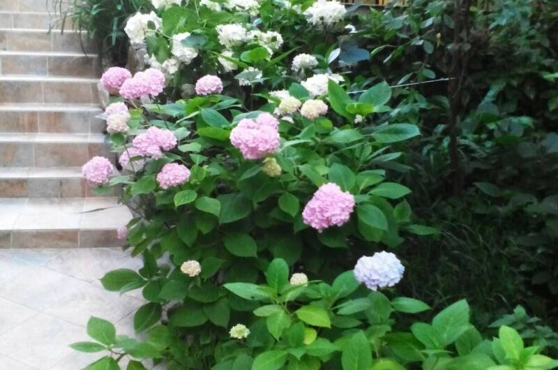 Частный сектор «Дубрава»