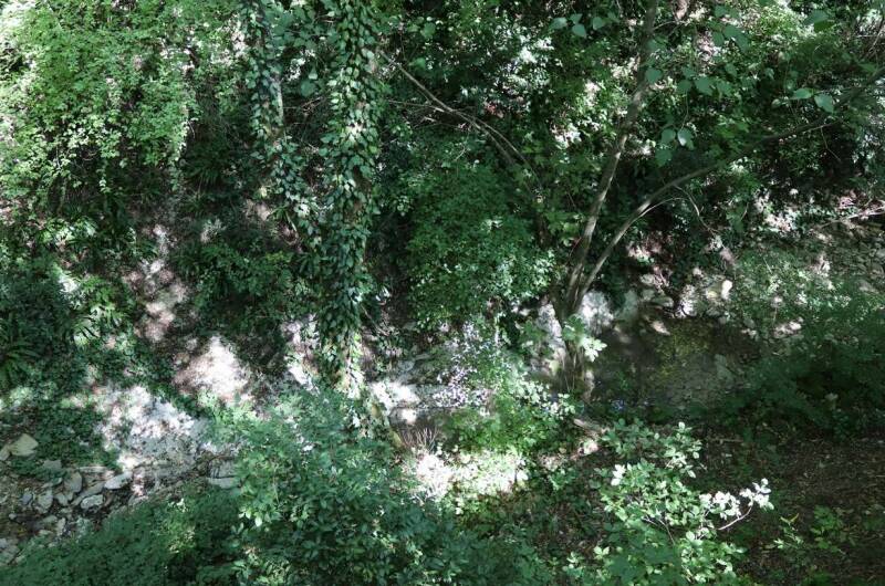 Частный сектор «Дубрава»