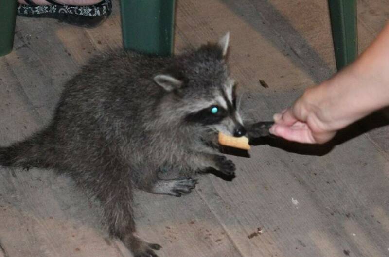 Частный сектор «Дубрава»