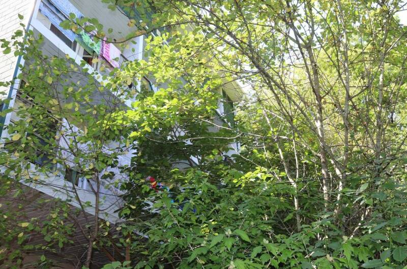 Частный сектор «Дубрава»