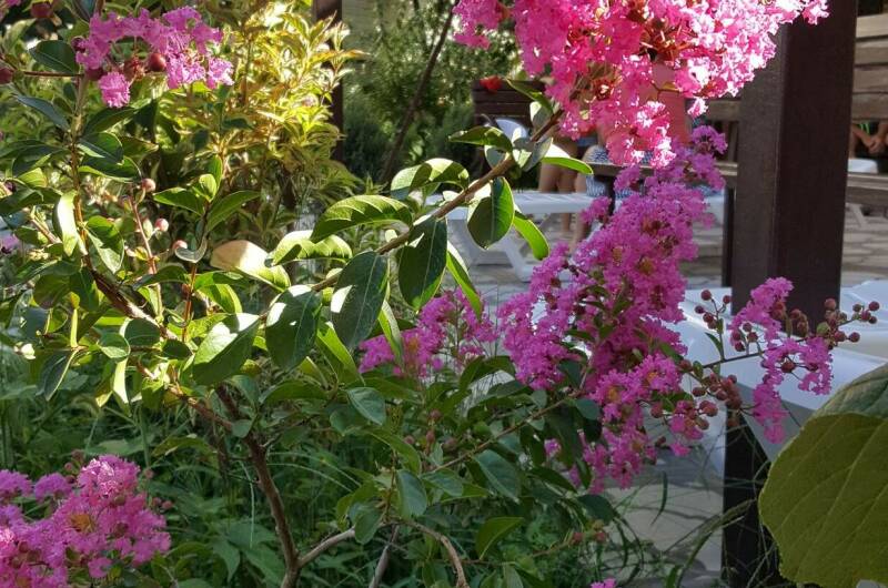 Гостиница «Аннушка»