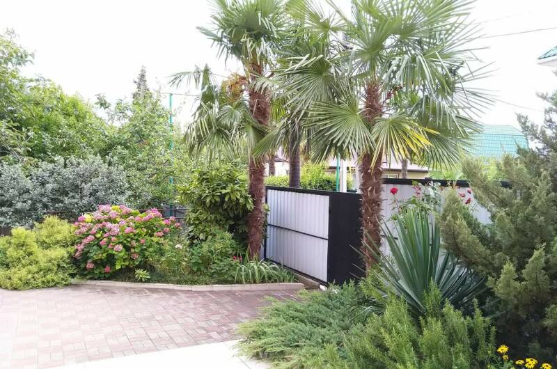 Гостевой дом «В гостях у мамы Оли»