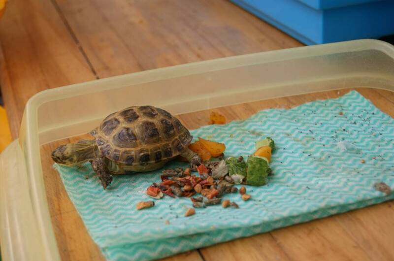 Отель «Арго»