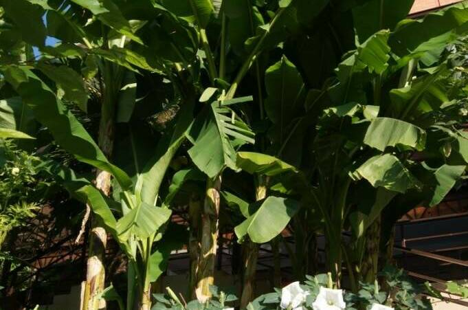 Отель «Арго»