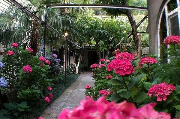 Частный сектор «Елена»