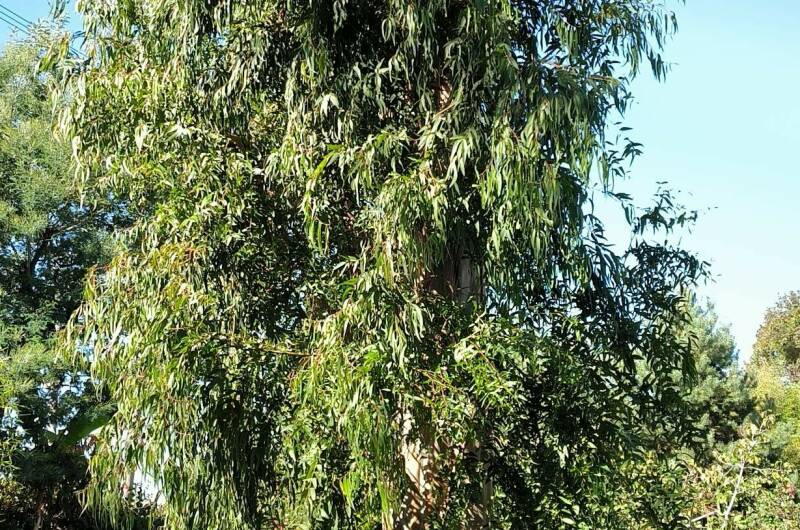 Гостевой дом «На Берегу»