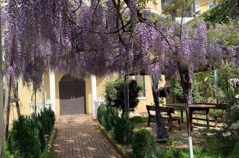 Гостевой дом «Ева»