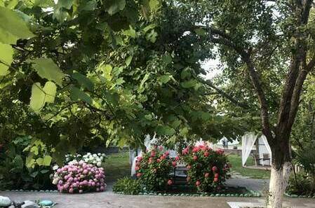 Гостевой дом «У Тюльпанового дерева»