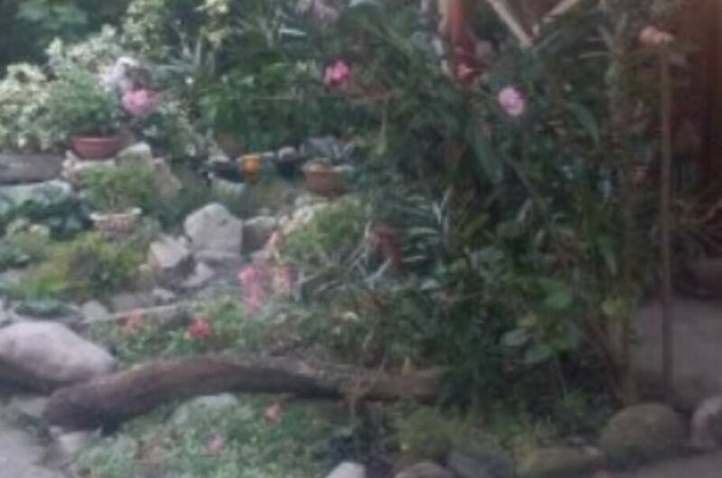 Гостевой дом «У моря»