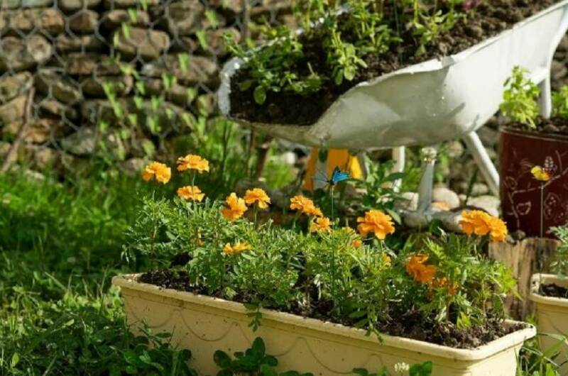 Гостевой дом «Batterfly»