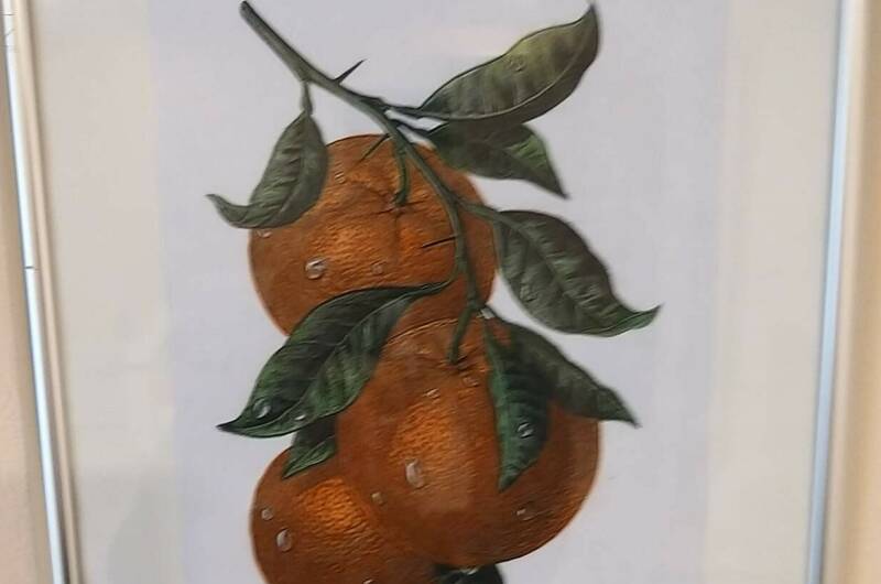 Гостевой дом «ЦитруS»