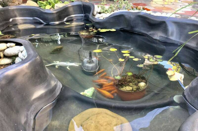 Дом отдыха «Виноградный»