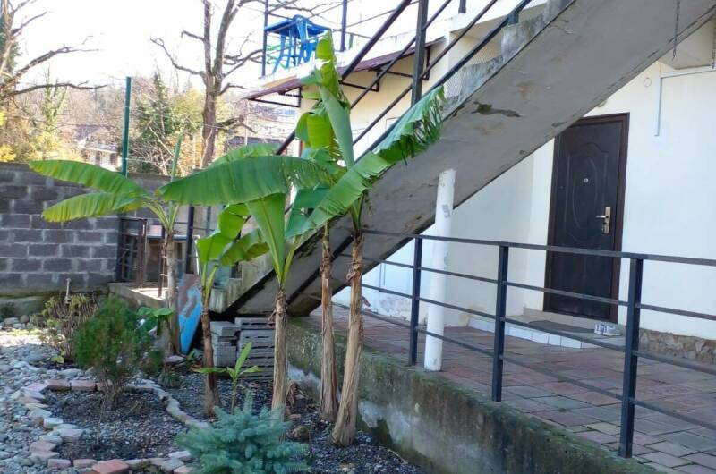 Гостевой дом «Орхидея»