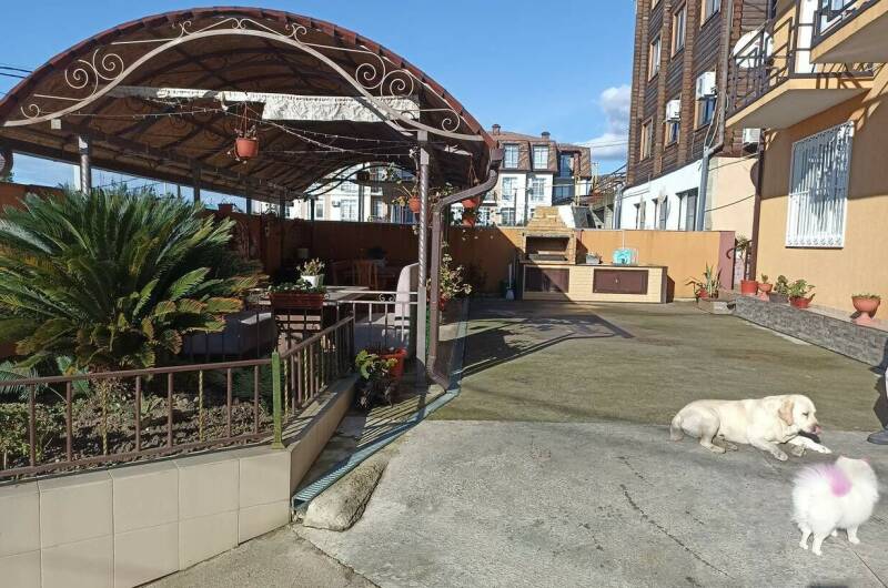 Гостевой дом «Каролина»