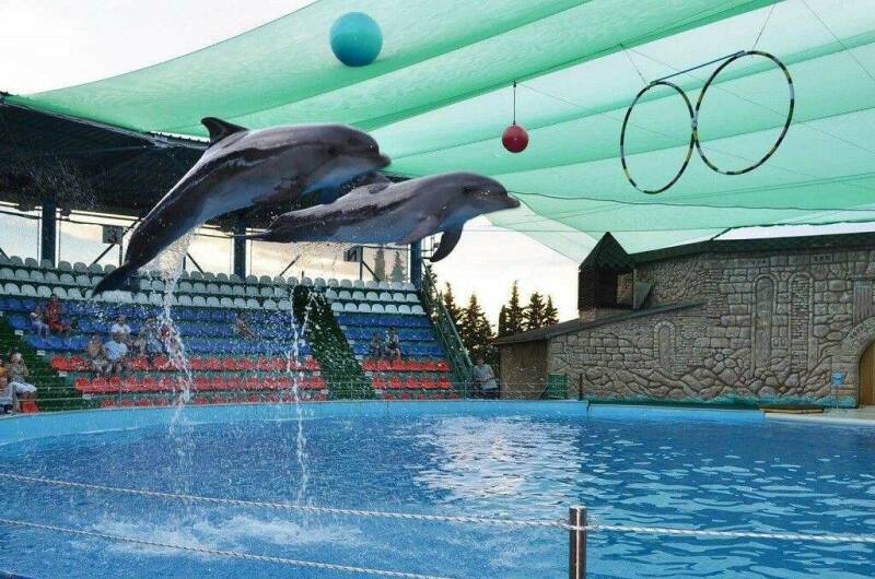 Гостевой дом «Аэлита»