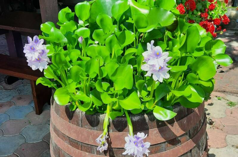 Гостевой дом «Были-жили»