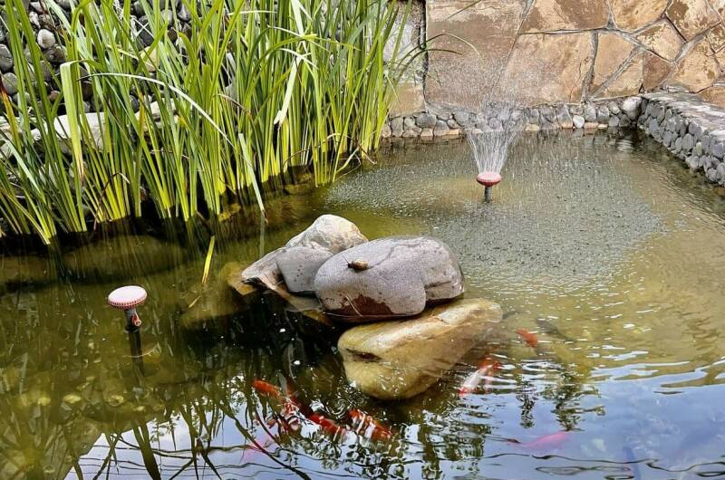 Гостевой дом «Леон»