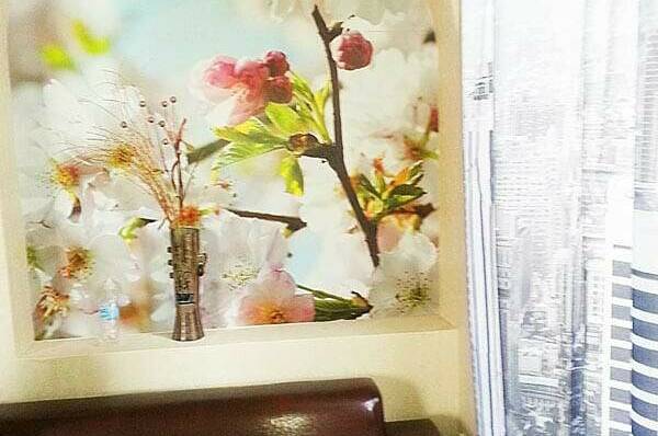 Квартира в центре возле пляжа