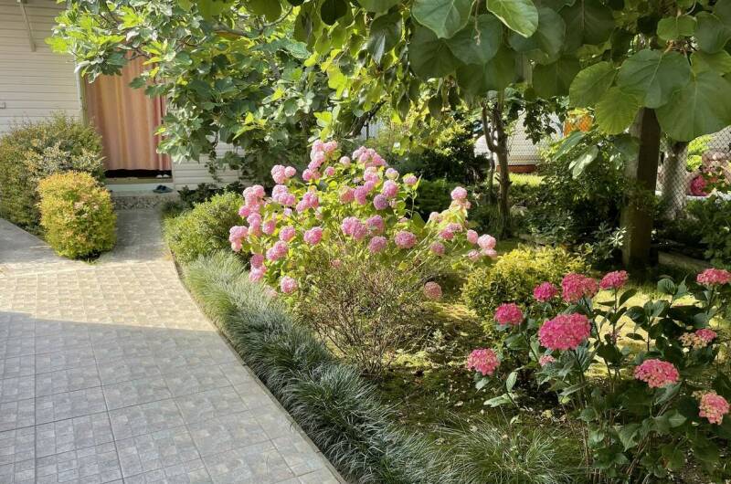 Гостевой дом «Вероника»