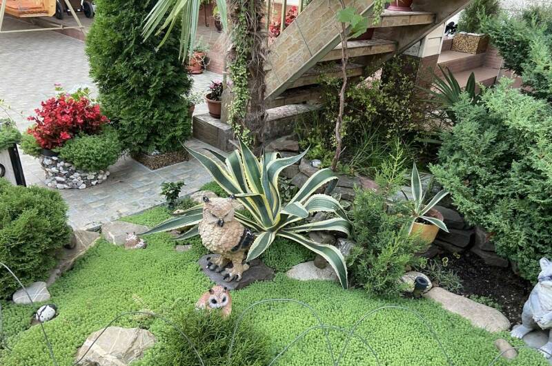 Гостевой дом «Вероника»