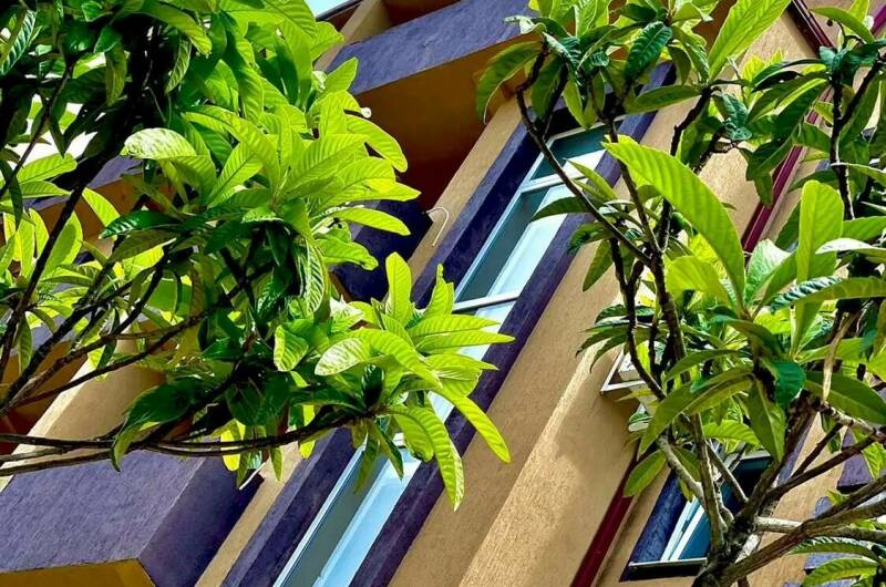 Гостевой дом «Чародейка»