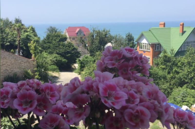 Гостевой дом «Дом»