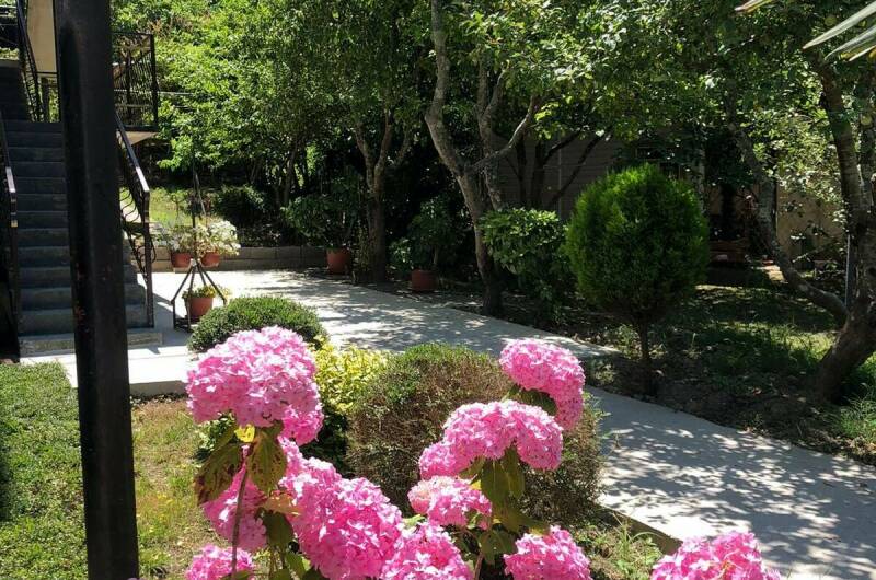 Гостевой дом «Арди»