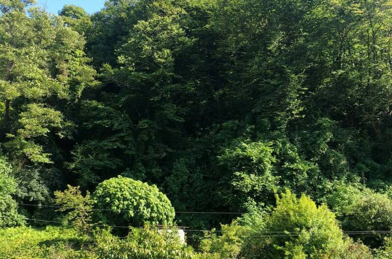 Гостевой дом «Арди»