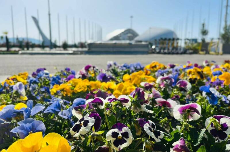 Гостевой дом «ЦитруS»