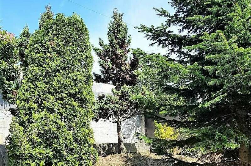 Гостевой дом «Тропиканка»