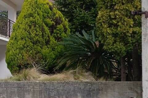 Гостевой дом «Тропиканка»