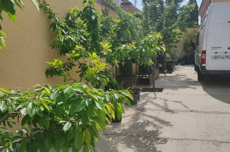 Гостевой дом «Эксклюзив»