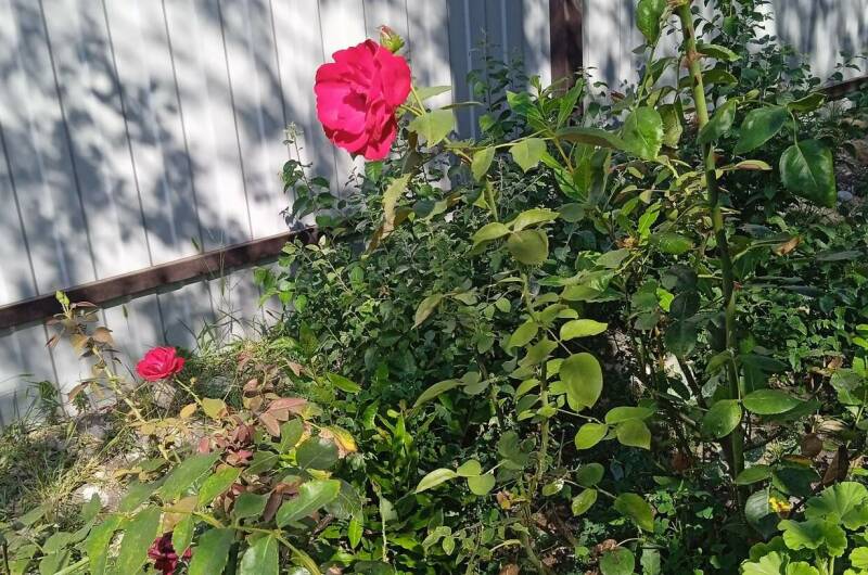 Домик под ключ