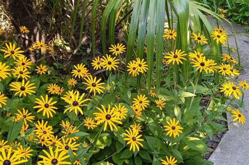 Домик под ключ