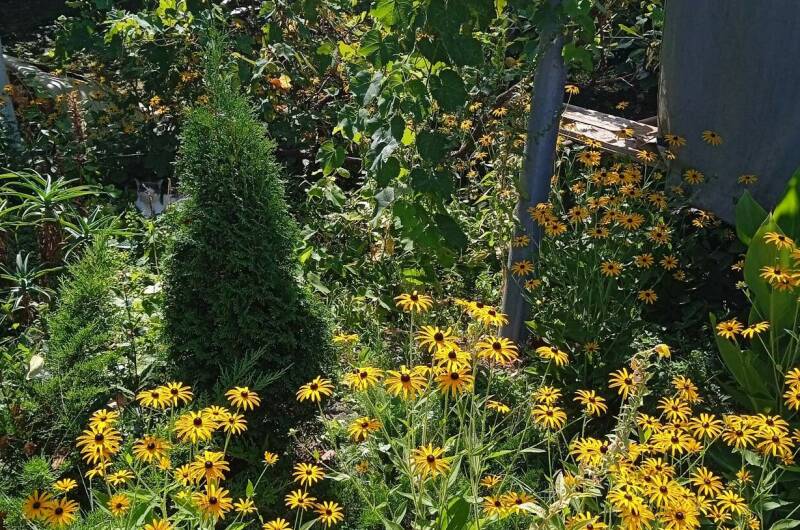 Домик под ключ