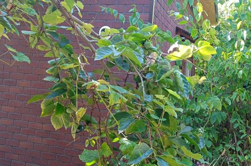 Домик под ключ