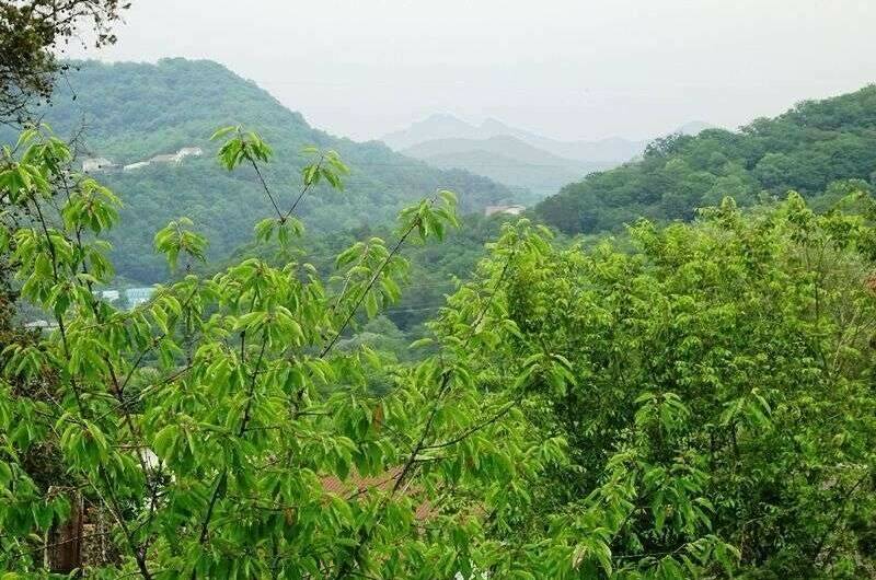 Гостевой дом «Агава»