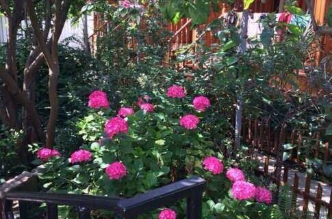 Гостевой дом «Авраам отдыхает»