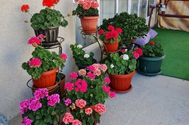 Гостевой дом «Карнавал»