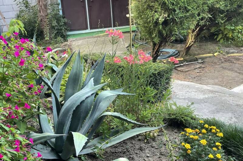 Гостевой дом «Линария»