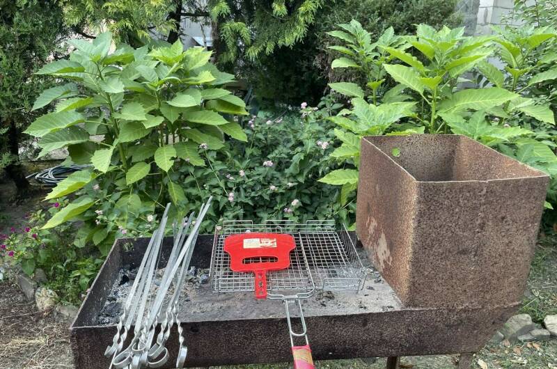 Гостевой дом «Линария»