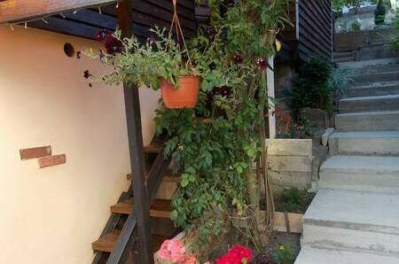 Домики «Ольга»