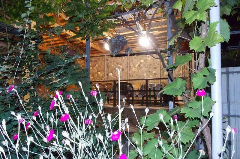 Домики «Ольга»