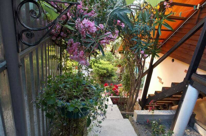 Домики «Ольга»