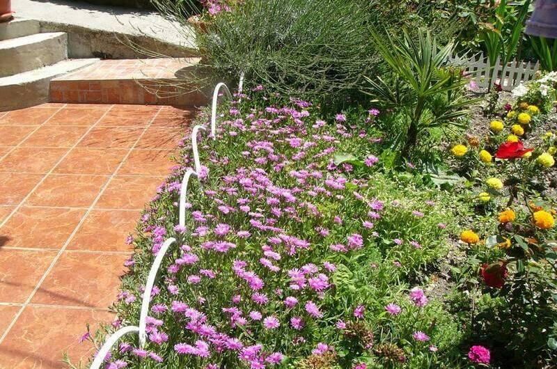 Домики «Ольга»