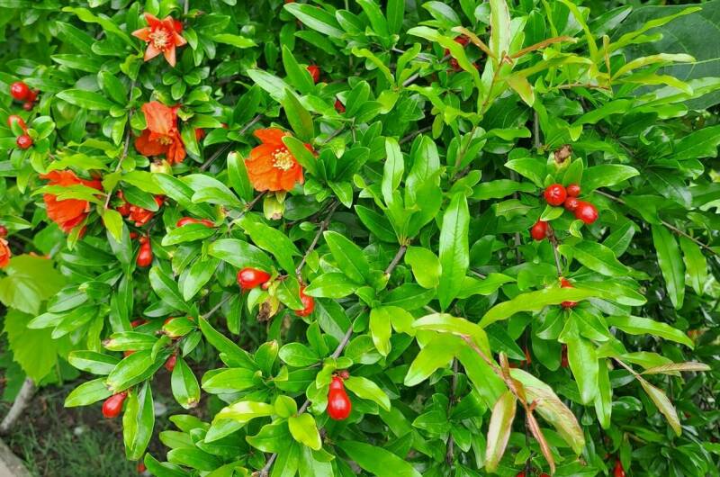 Дом под ключ на Фруктовой