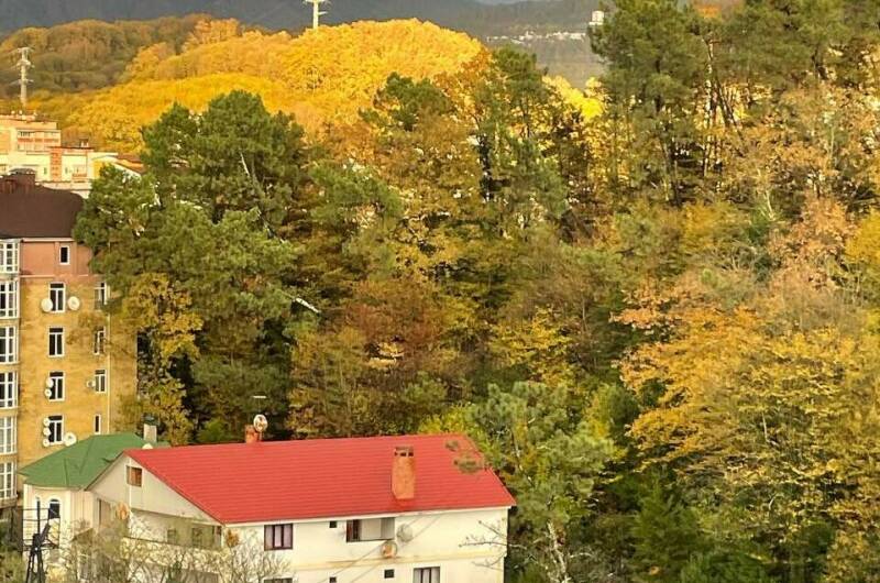 Студия ЖК «Аллея Парк»