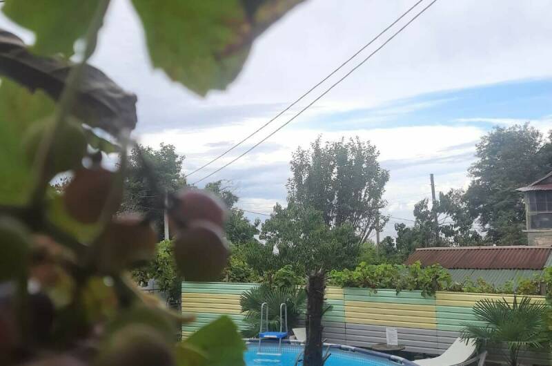 Частный дом «Дом друзей на Звездной»