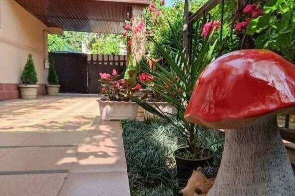 Гостевой дом «Киви дом»